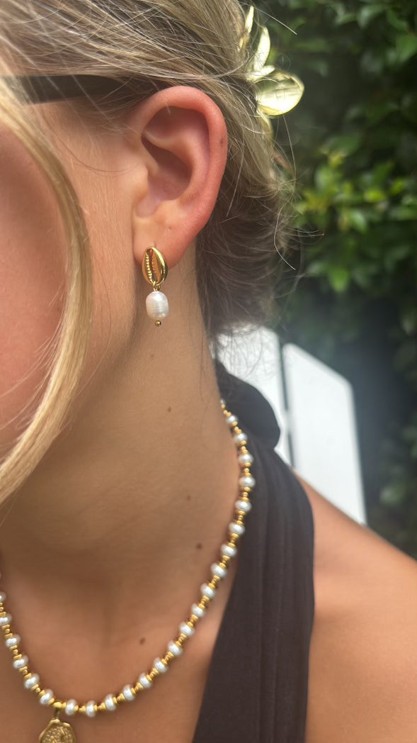Golden Cowrie Earrings